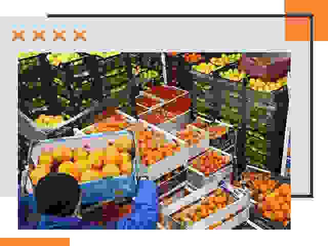 Перевозка скоропортящихся продуктов в Светлограде